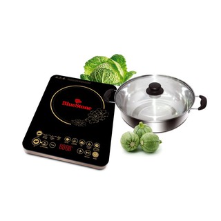 Bếp Từ Bluestone ICB-6677