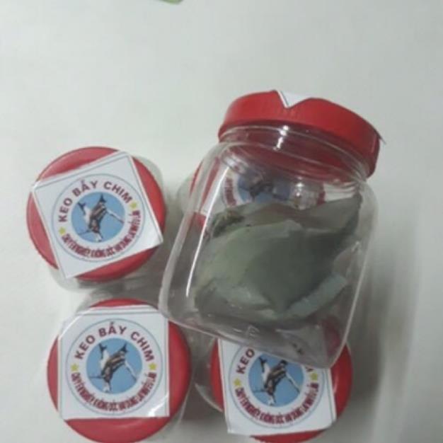 5 lọ keo bẫy chim