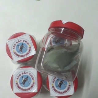 5 lọ keo bẫy chim