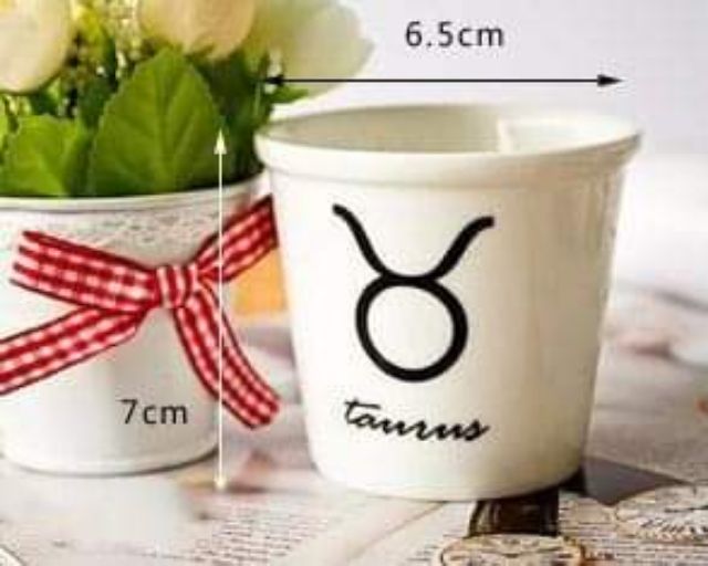 Ly sứ mini 12 cung hoàng đạo