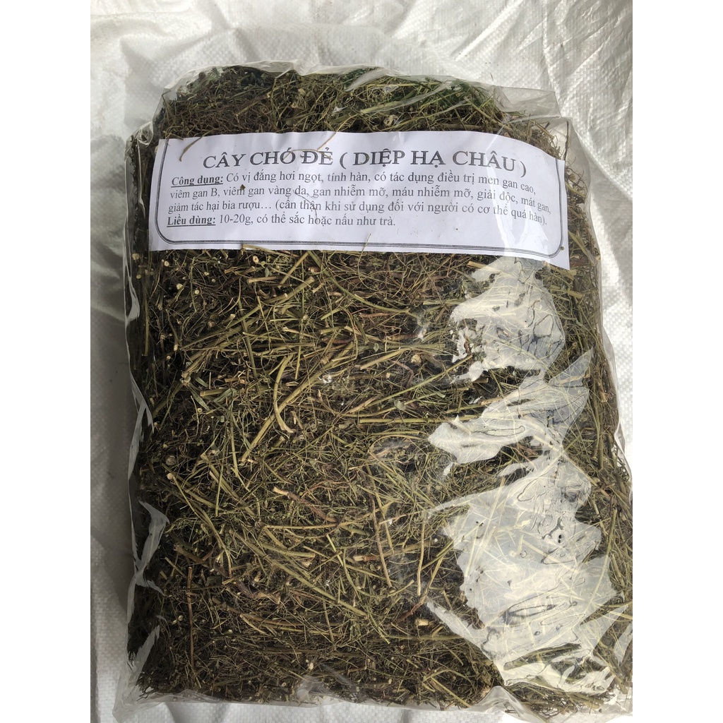 1kg DIỆP HẠ CHÂU (CÂY CHÓ ĐẺ)