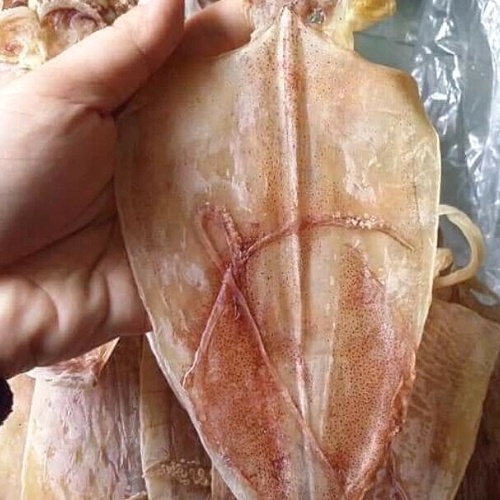 Mực Khô Câu Nha Trang size 29-33  Khô Mực Ngon Loại 1 Cá Mực Khô Ngon Ngọt Mềm | BigBuy360 - bigbuy360.vn