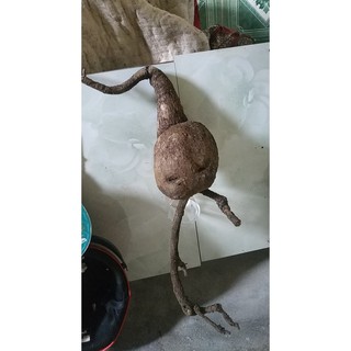 bình vôi bất tử cho ae chơi lm thuốc
