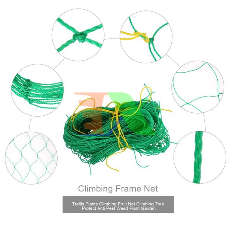 Lưới làm giàn dây leo (3.6m x 1.8m), lưới làm giàn cây Ollie net