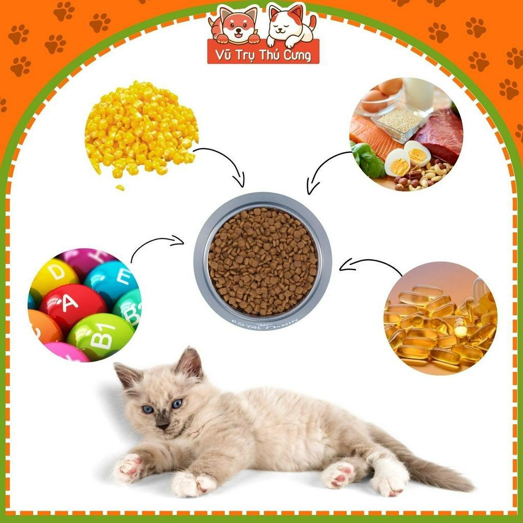 Thức ăn hạt cho mèo con Royal Canin Mother & Babycat 2Kg