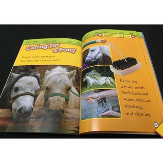 Bộ nhập - National Geographic Kids (Level 1 - 38q)
