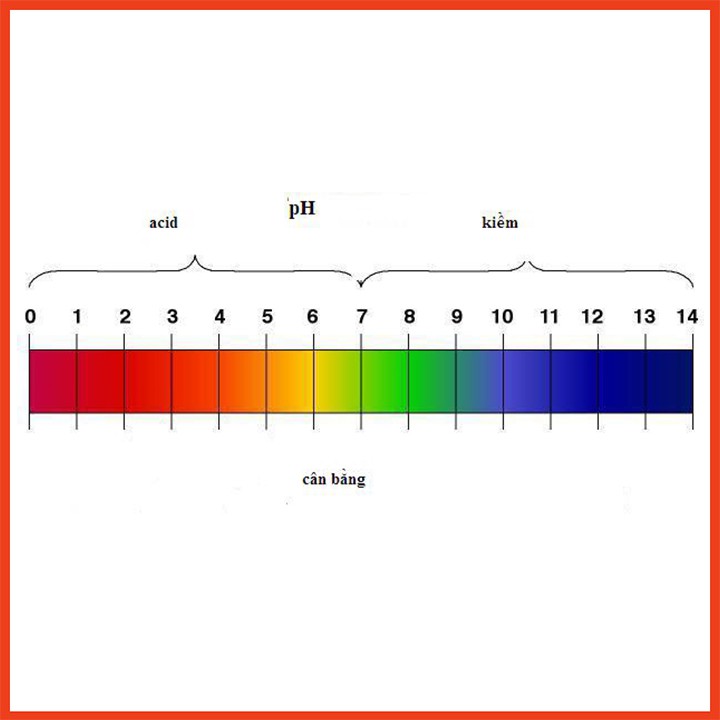 Quỳ tím đo ph chính xác [Giá cực rẻ]