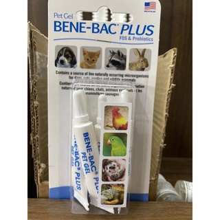 1 tuyp gel bene bac plus men tiêu hoá cho chó mèo , chim thỏ