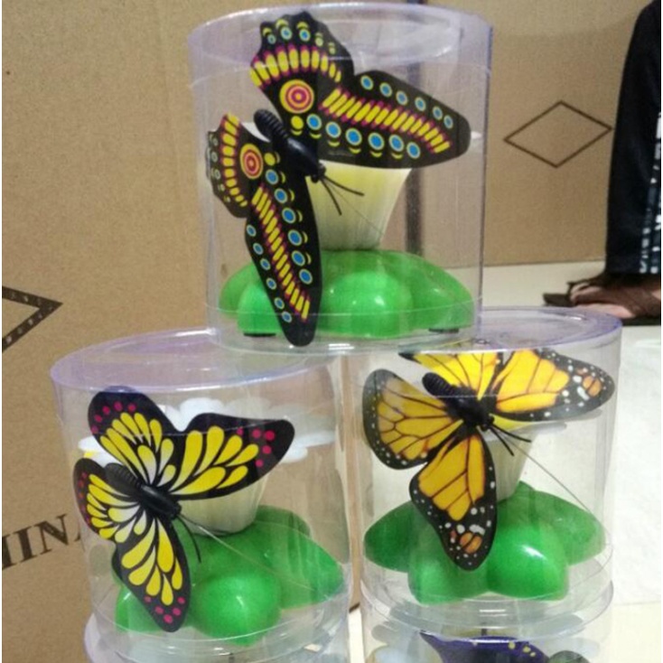 Đồ chơi bắt bướm tự động bay lượn cho chó mèo - phụ kiện chó mèo - ShopPetAz