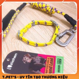 DÂY DẮT CHÓ THỔ CẨM ZICHEN