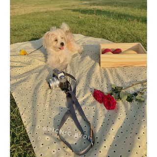 Thảm picnic DAISY HOA CÚC handmade