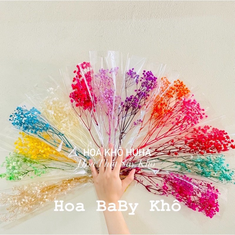 Hoa Baby Khô Quà Tặng Hoa Khô, Decor Trang Trí Hoa Khô HuHa