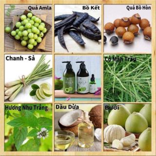 Bộ sản phẩm chăm sóc kích thích mọc tóc ngăn tóc rụng