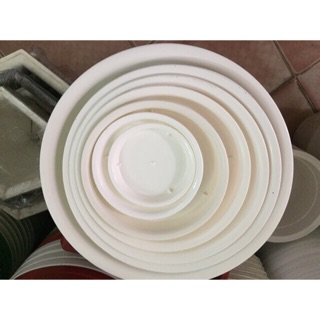 Đĩa Lót Chậu, Đĩa lót trắng, đen dùng Được tất cả các loại chậu (size14 - size38)