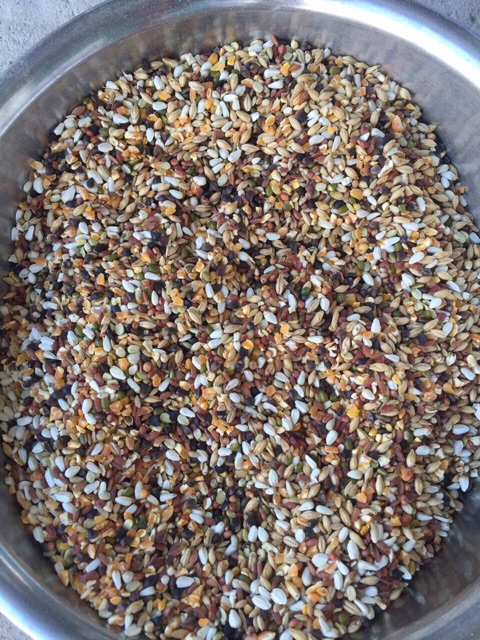 Ngũ cốc trộn 14 loại hạt cho chim cu gáy