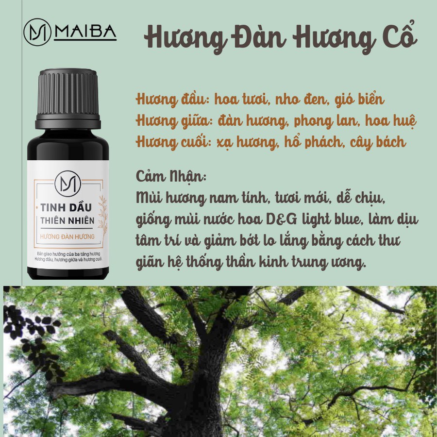 Tinh dầu thiên nhiên nguyên chất ba tầng hương Maiba xông phòng, làm nến thơm giúp thư giãn khử mùi, khử phòng DMB