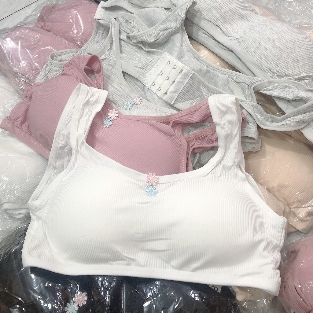 Áo Lá Học Sinh Cho Bé Cài Móc, Có Mút Đệm Mỏng Cho Bé ( Chất Thun Tăm Đẹp) | BigBuy360 - bigbuy360.vn