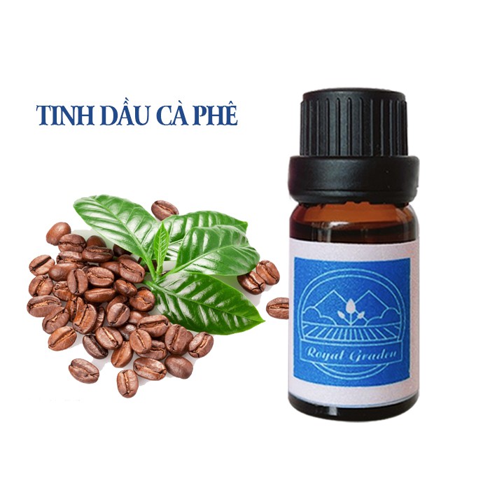 Tinh dầu cà phê nguyên chất dung tích 10ml