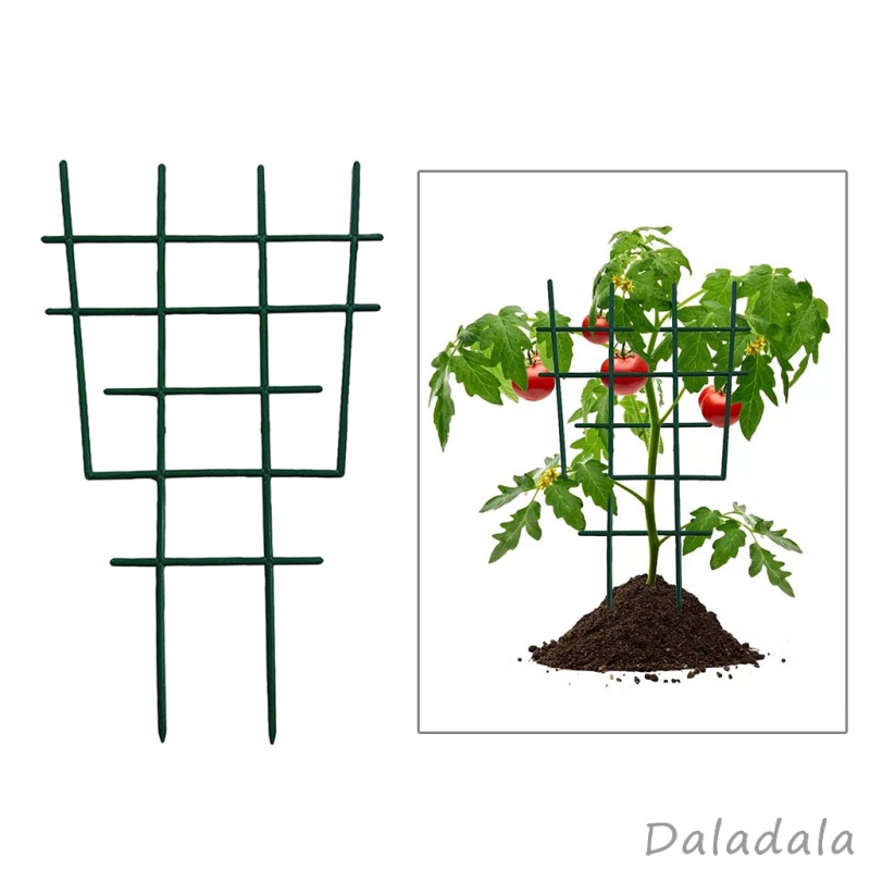 Hàng Rào Trồng Cây Dây Leo Màu Xanh Lá Cổ Điển Kích Thước Lớn Cho Sân Vườn