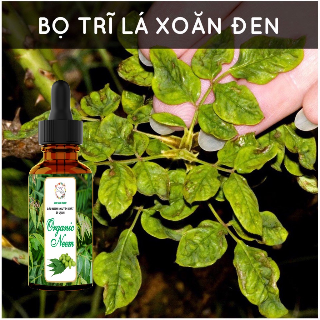 Tinh dầu Neem oil Green Grow Organic phòng trừ sâu bệnh bọ trĩ nhện đỏ nấm lá cho Hoa Hồng và các loại hoa kiểng MS185