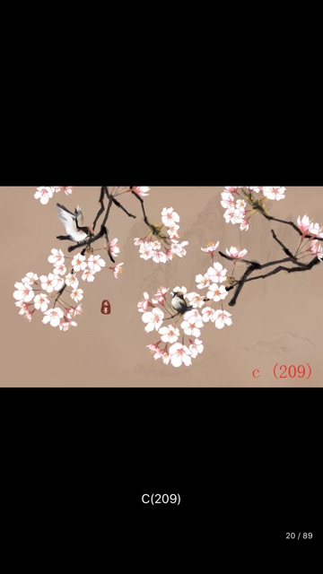 Phông chụp hình cổ trang vải không dệt