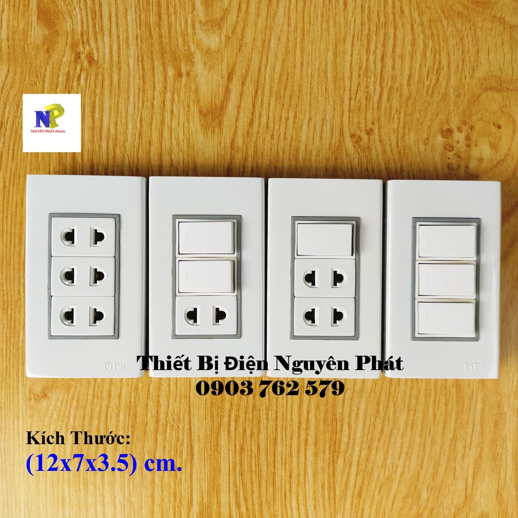 Taplo Giả Âm PIPO Ráp Sẳn PN10 - Hàng Cao Cấp