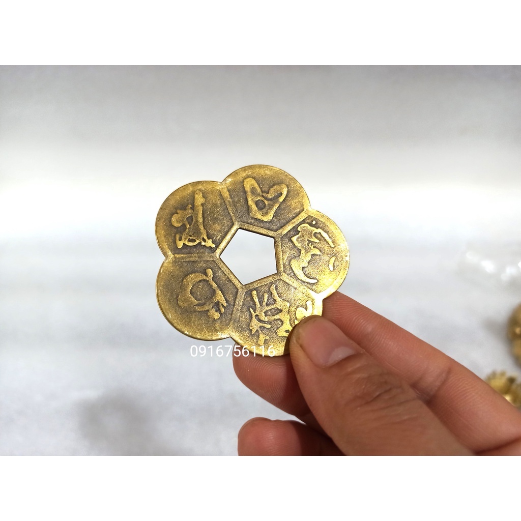 Đồng Hoa Mai năm cánh cỡ to