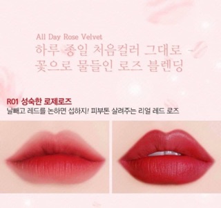 Black Rouge Power Proof Matte Tint