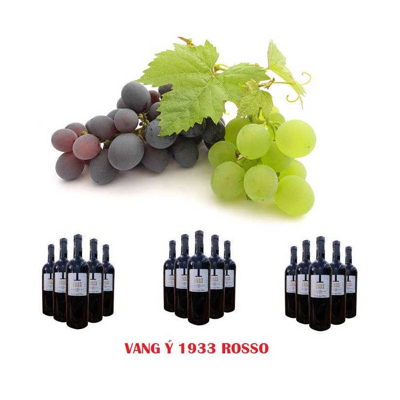 Rượu vang Ý 1933 Rosso nhập khẩu
