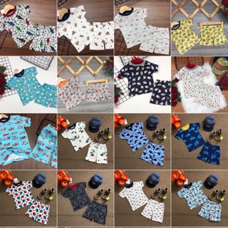 Set 5 Bộ thun borip bé trai xuất xịn