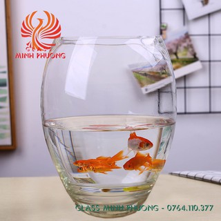 Hồ cá mini thủy tinh để bàn, chậu thủy tinh trồng cây thủy sinh mẫu D03