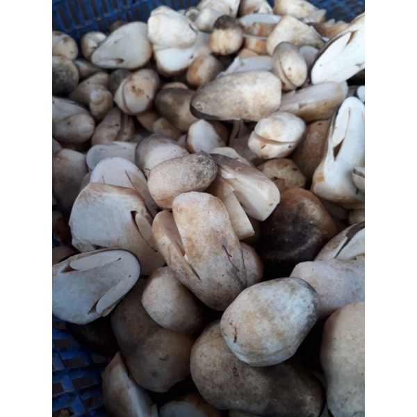 Nấm rơm sấy khô Lai Vung 500g