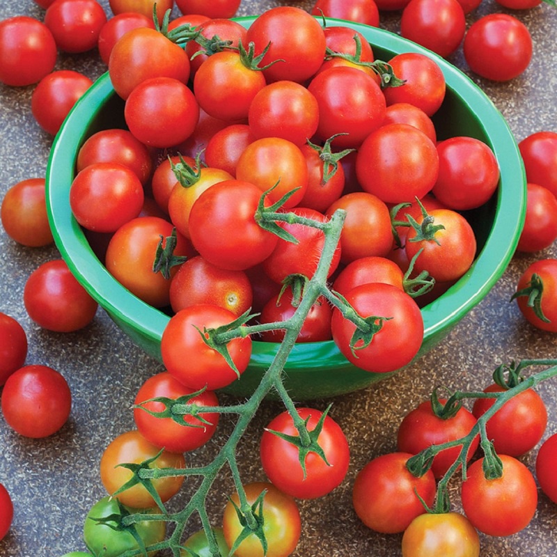Hạt Giống Cà Chua Cherry Đỏ 0.1gr