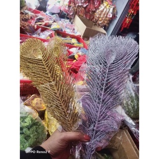 Hoa trạng Nguyên