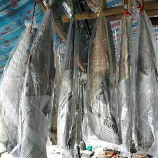 Cá thu muối dùi ( mắn cá thu)
