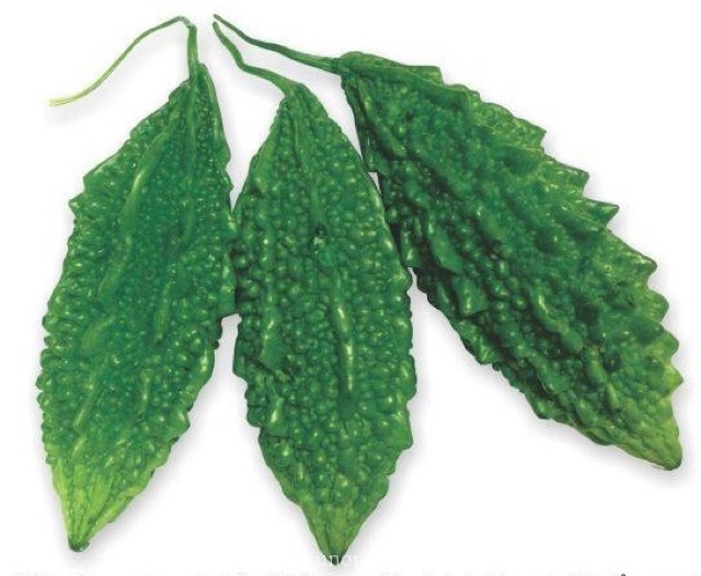 Hạt giống khổ qua xanh, khổ qua gai, mướp đắng (dễ trồng ra nhiều trái)