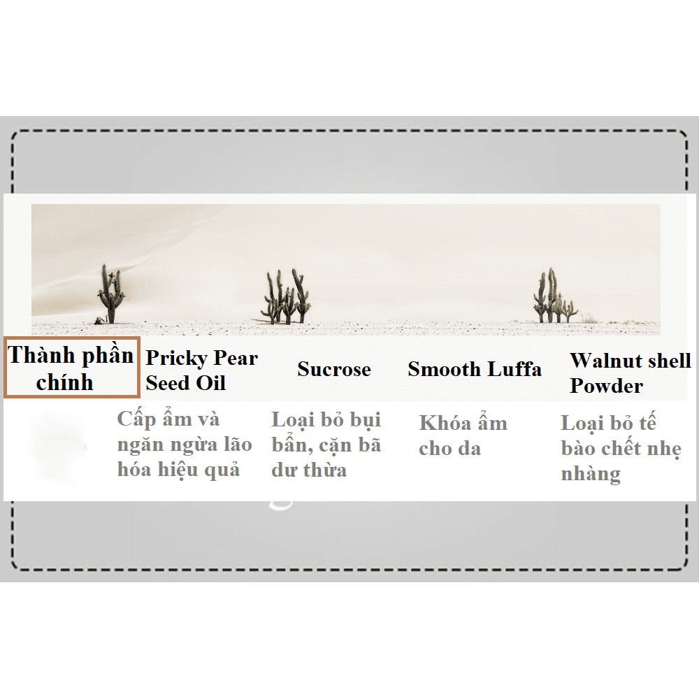 Tẩy da chết dành cho mặt Huxley chiết xuất từ xương rồng Sahara - AILEE COSMETIC - S30 | BigBuy360 - bigbuy360.vn