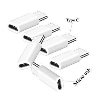 Combo 2 cái đầu chuyển đổi chân Micro USB (Cái) sang Type C