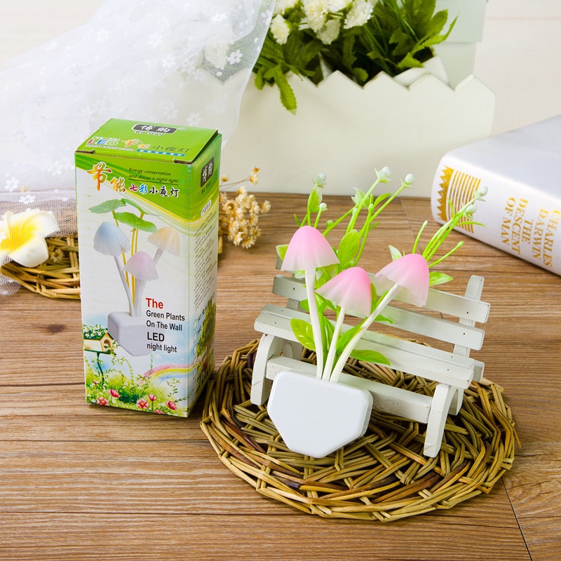 Đèn Ngủ Cắm Điện Ánh Sáng, Hình Hoa (D2)