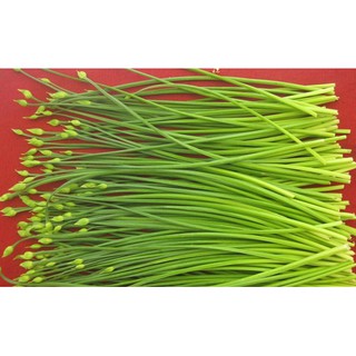 Bộ 1 hạt giống hẹ bông