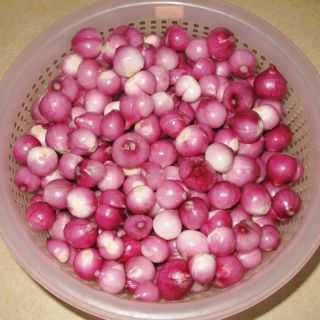 [200G] Hành Phi Ngon giòn thơm