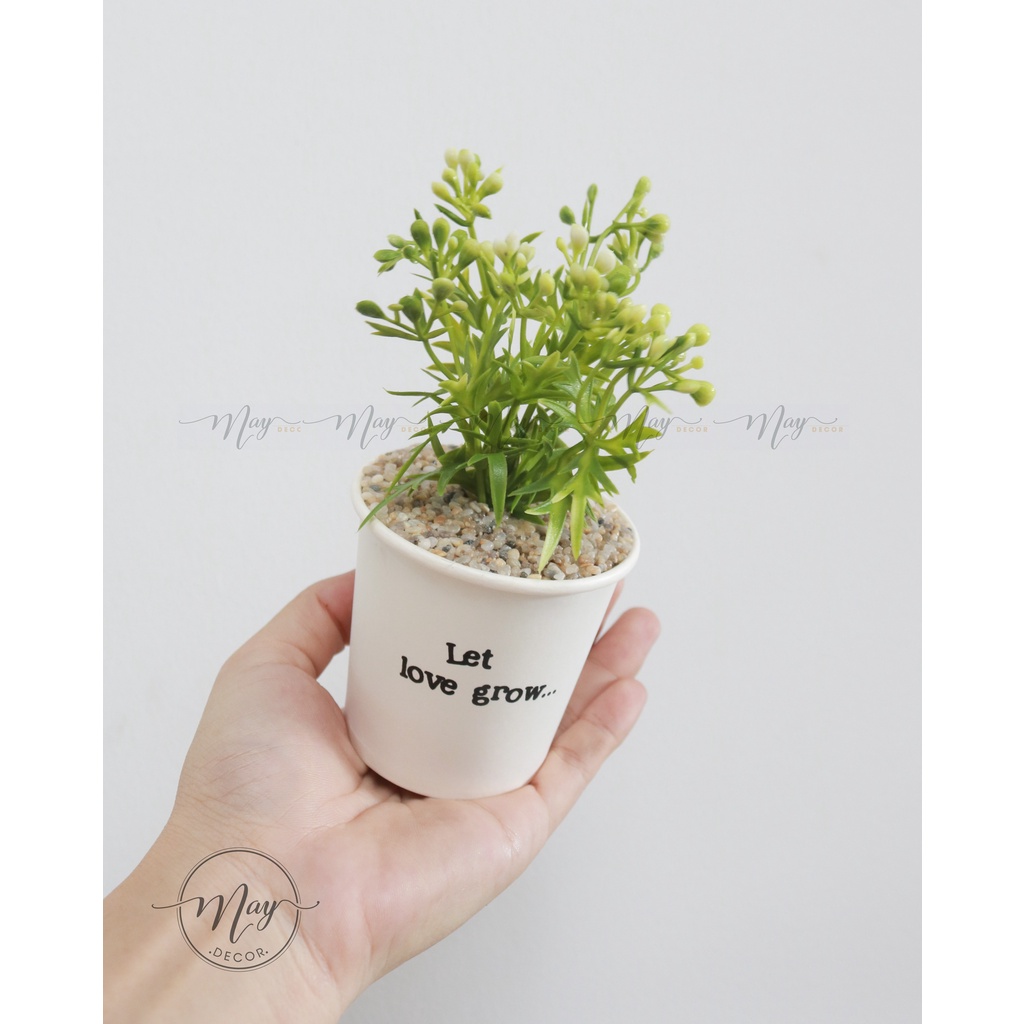 Cây giả, Chậu cây mini xinh xắn nhiều mẫu, chậu giấy