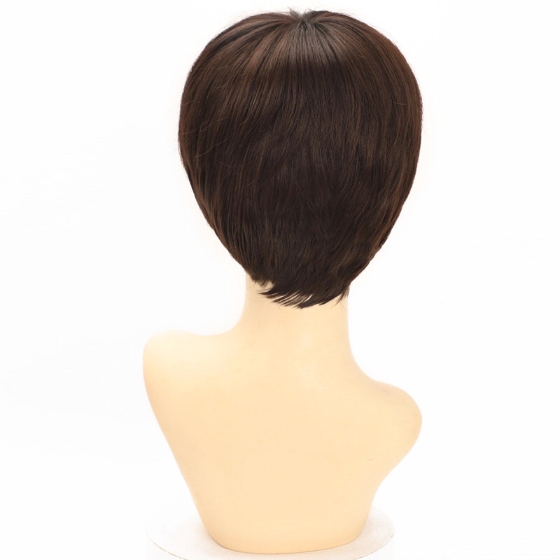 Bộ Tóc Giả Ngắn Nguyên Đầu Trung Niên Thẳng TN02 MS21 Qiqishop