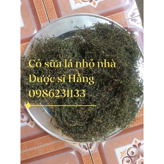 Cỏ sữa lá nhỏ vip