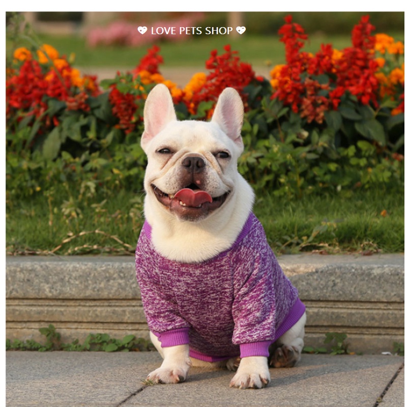 ÁO CHO CHÓ MÈO, THỜI TRANG THU ĐÔNG CHO THÚ CƯNG (MẪU MỚI) -  LOVE PETS SHOP