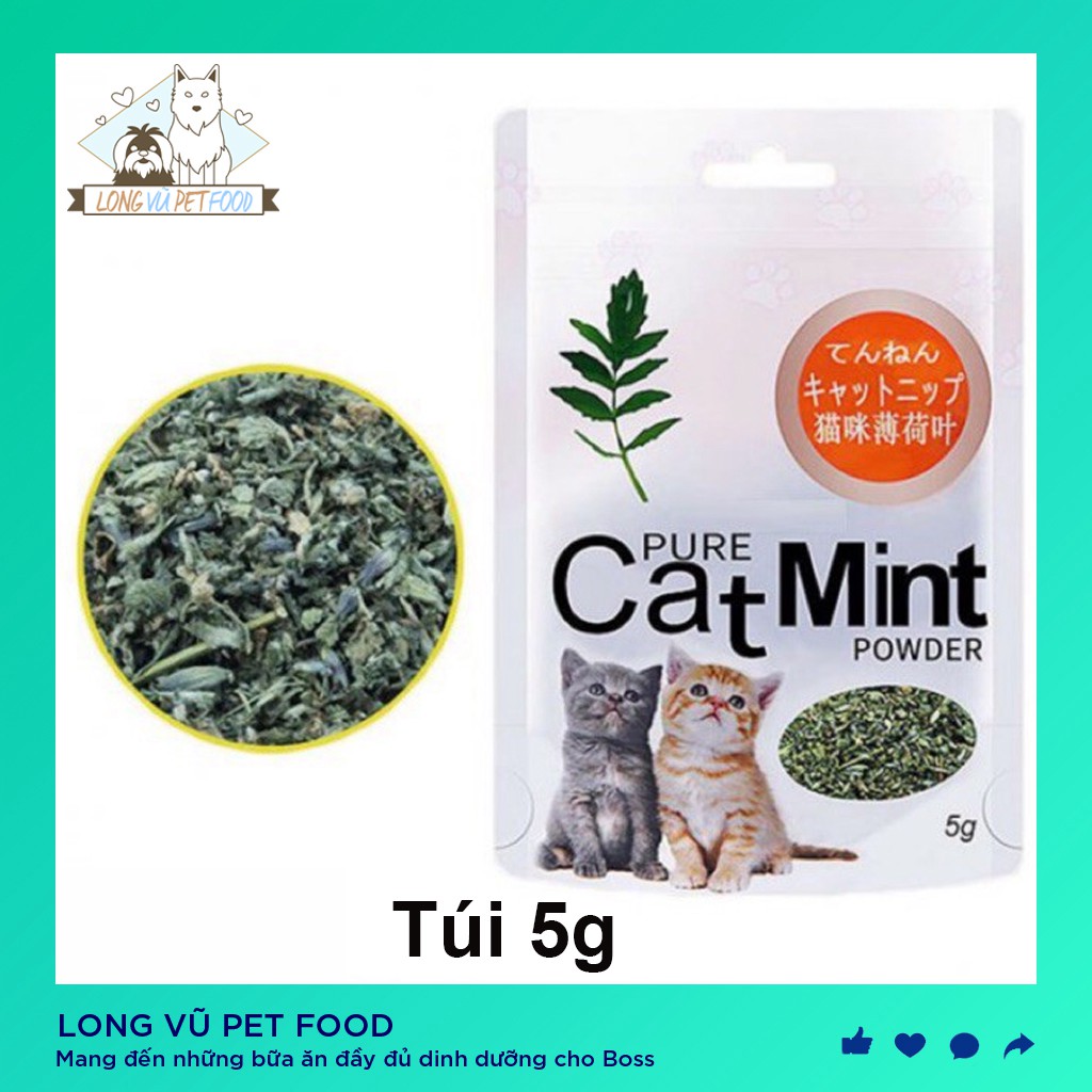 Túi catnip cho mèo cỏ mèo Catmint 5g thư giãn xả stress tạo hưng phấn cho mèo - Long Vũ Pet Food