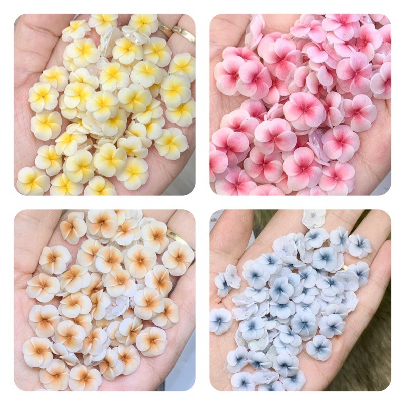 Hoa Bột Nail - Hoa Đậu Bột Gắn Móng Nail
