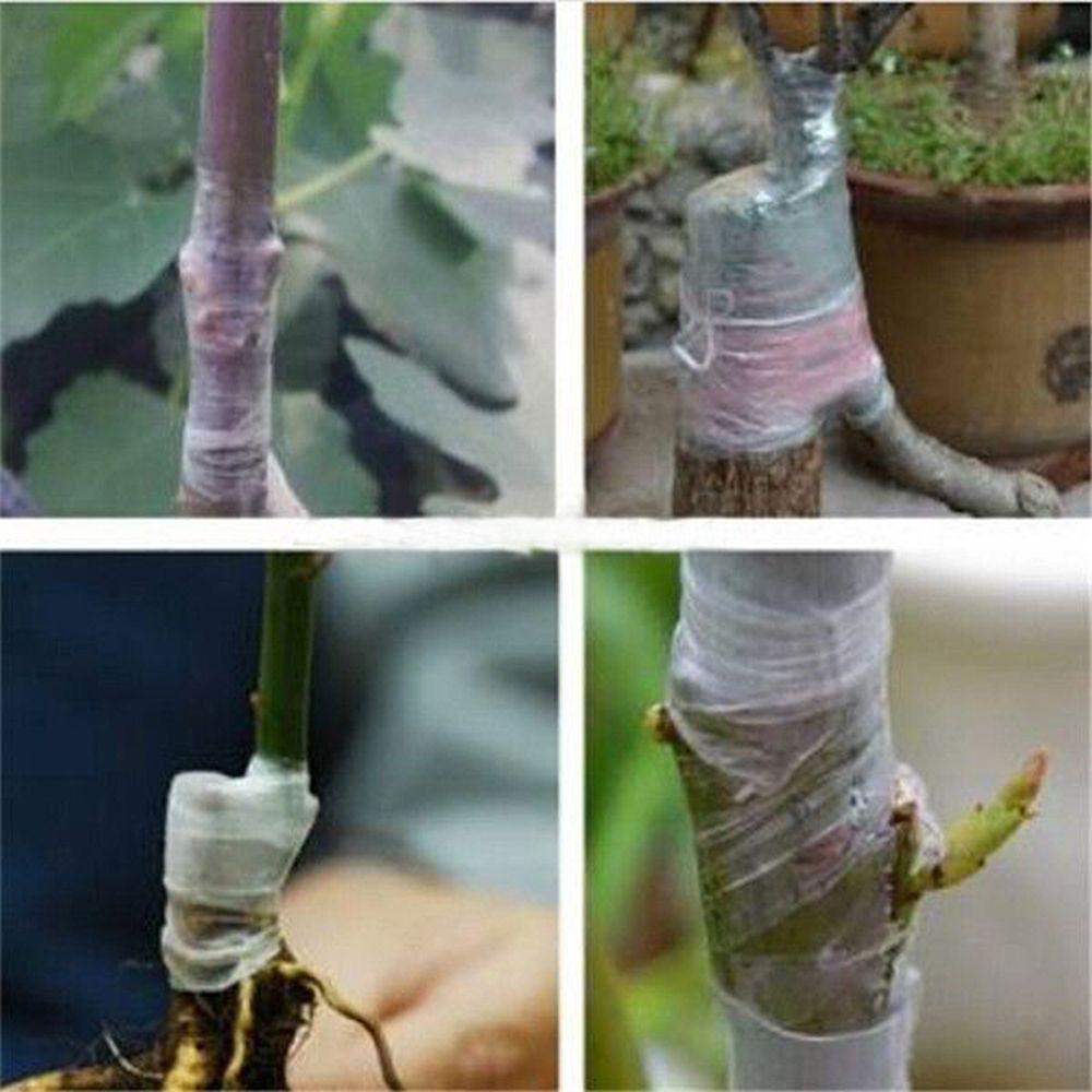 BEAUTY Cuộn Băng Keo Chống Ẩm Mốc Cho Cây Trồng Tiện Dụng