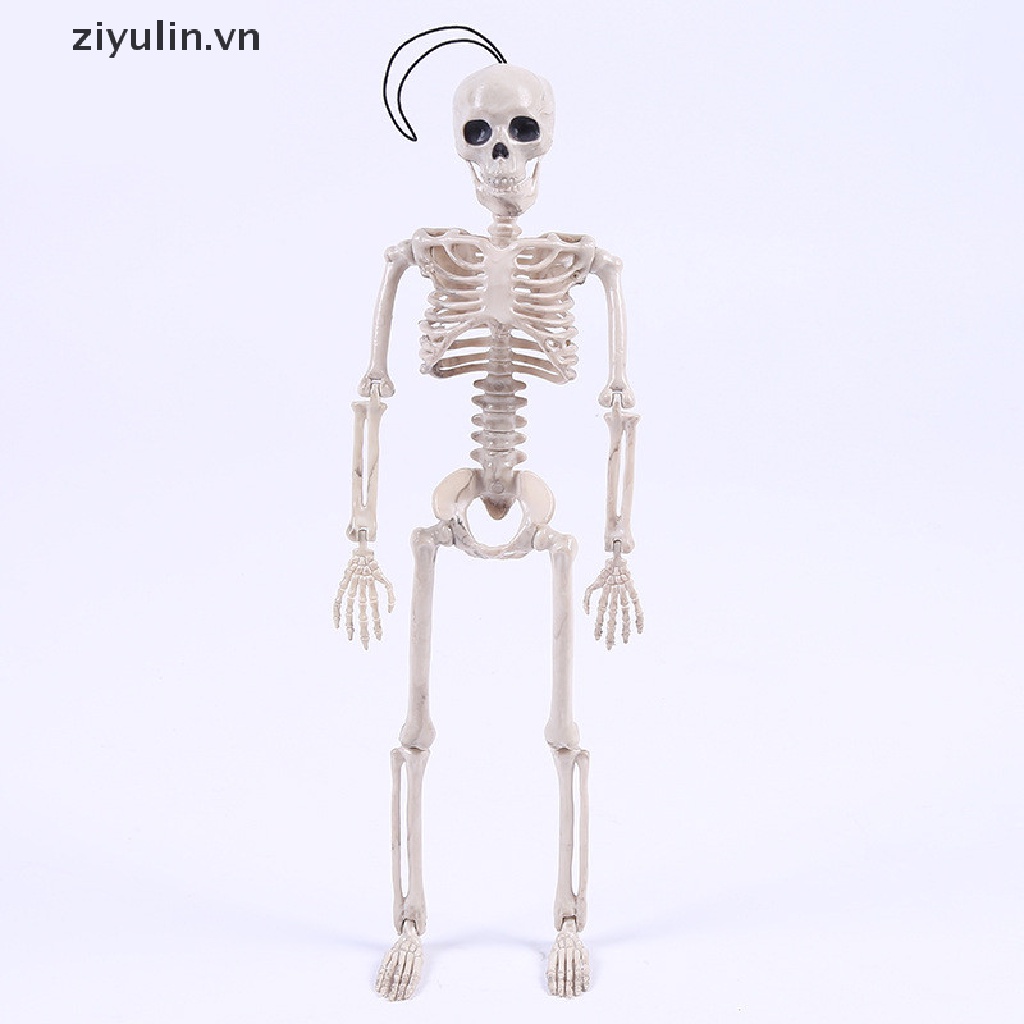 Bộ Xương Người Kinh Dị Trang Trí Halloween