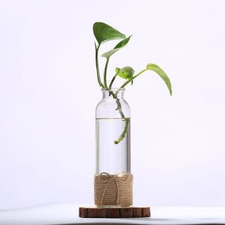 BÌNH BÔNG LỌ HOA THỦY TINH TRANG TRÍ